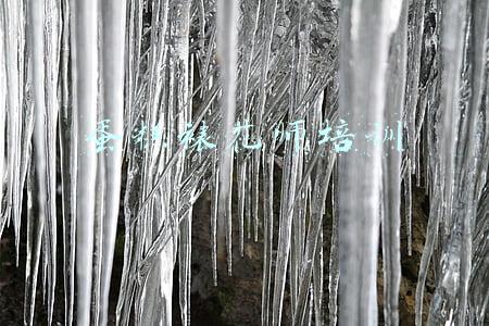 蛋糕裱花师培训视频(福建新东方烹饪学校：0基础接触蛋糕行业，想成为一名裱花师？)