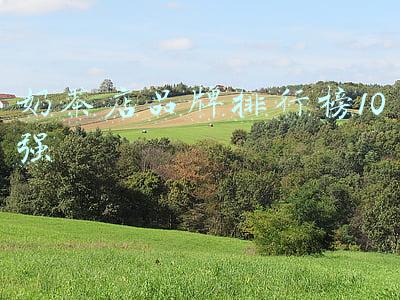 奶茶店品牌排行榜10强
