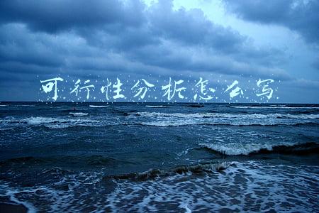 可行性分析怎么写
