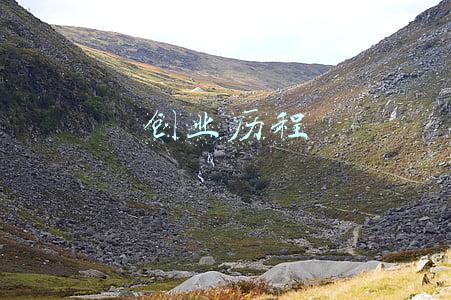 创业历程