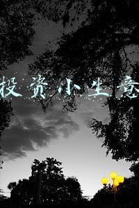 投资小生意
