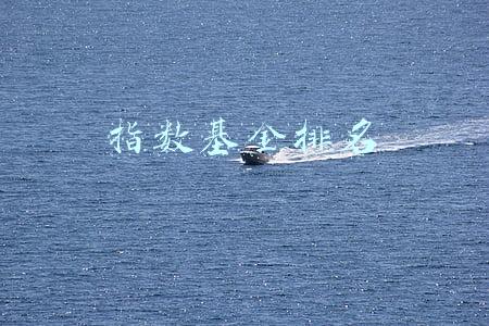 指数基金排名前十名(业绩十强基金规模大爆发 白酒指数基金越跌越受宠)