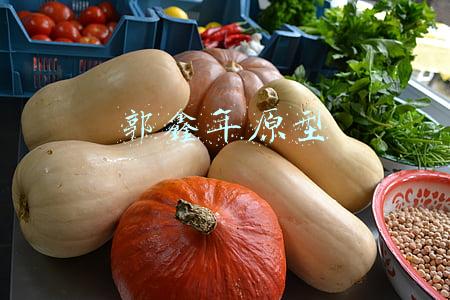 郭鑫年原型