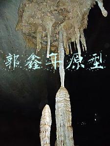 郭鑫年原型