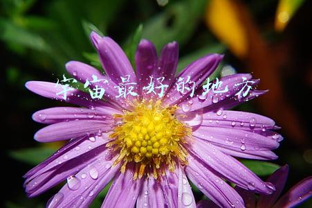 宇宙最好的地方极乐世界(被印度教誉为“最古老神圣的地方”，就在西藏，旅行一定不要错过)