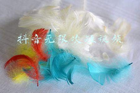 抖音无限次短视频app下载(《一个女人》：解气又解压的女性爽剧)