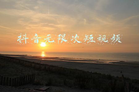 雏鸟短视频官网无限看(世界最长寿野生鸟再次做母亲 70岁又生下雏鸟)