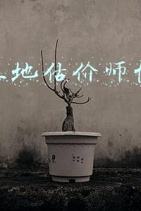 中国估价师协会官网(房地产估价师考试报名流程及上传照片处理方法)