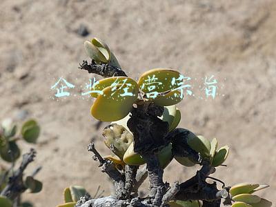 企业经营宗旨