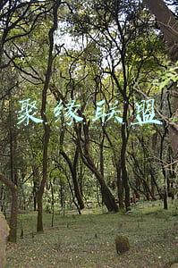聚缘联盟