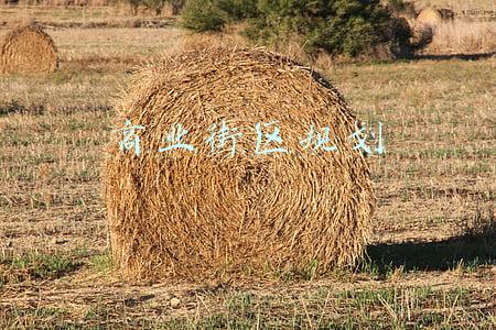 商业街区规划平面图(打造高品质日韩特色商业街区！青岛这一商业项目规划出炉)
