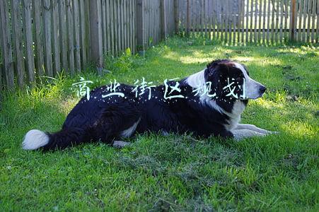 商业街区规划