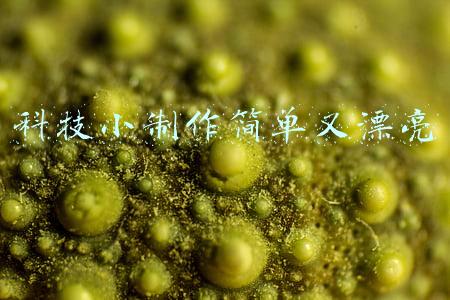 科技小制作简单又漂亮六年级制作方法(捡一袋子树叶，树叶贴画做起来，不花一分钱的早教课，效果惊艳)