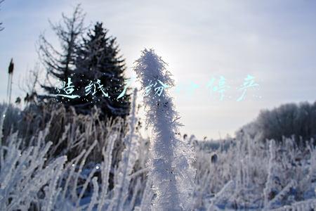 造纸厂纷纷停产