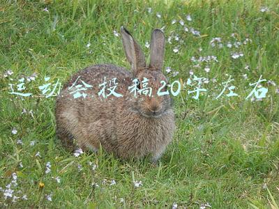 运动会投稿20字左右