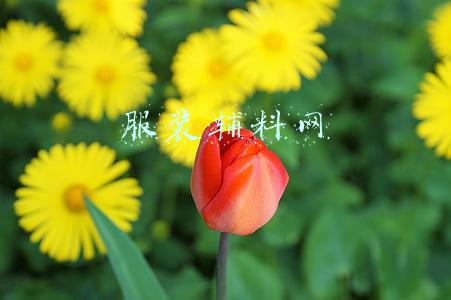 服装辅料网络营销(浙江服装吊牌厂家对接百度SEO优化框架)