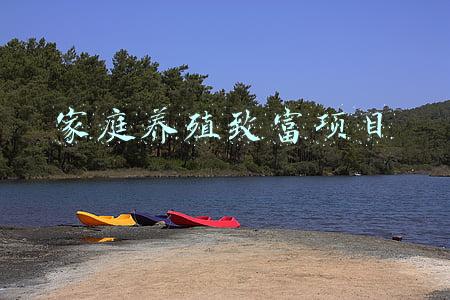 家庭养殖致富项目这几个非常适合农村家庭养殖(目前的农村，养殖什么市场销路好，又能稳妥赚钱呢？)