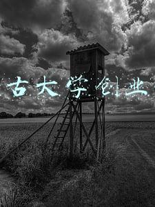 内蒙古大学创业学院官网(任霄任内蒙古大学创业学院党委书记，杨逸隆任内蒙古大学创业学院党委副书记)