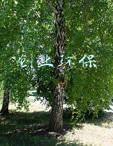 创业环保股份有限公司(天津创业环保股份(01065.HK)获宁波开发投资集团增持54.4万股)