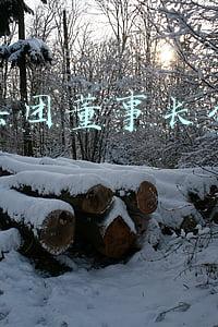 华润集团董事长什么级别