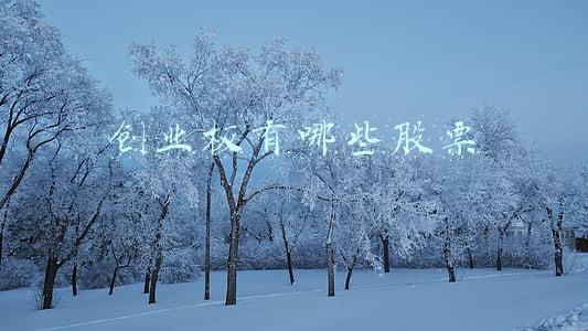 创业板有哪些股票