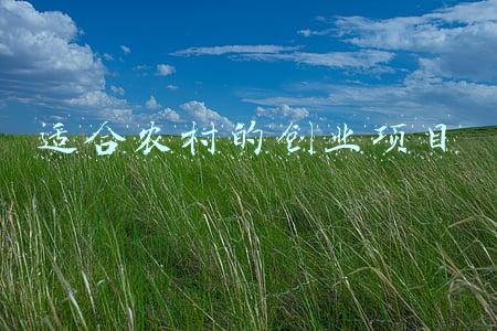 国家扶持的农村创业项目(2022年，农村火爆项目大分享)