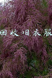回收旧衣服价格表(回收旧衣服的价格是多少？旧衣服能卖多少钱？)