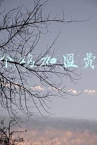 叫了个鸡加盟费多少