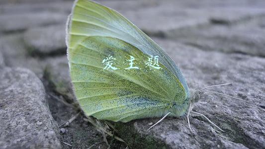 爱主题