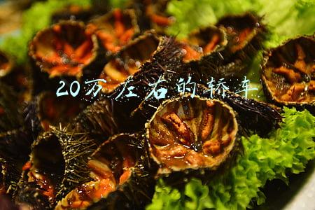20万左右的轿车买什么车好(预算20万想买？不妨看看这5款，保值率高关键还很省油的)