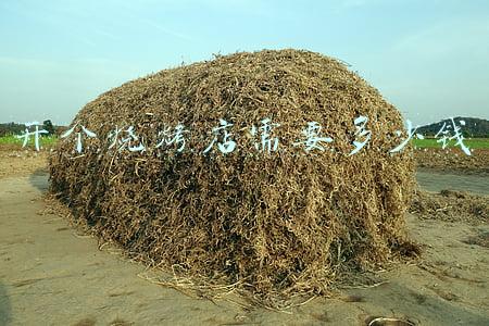 自己开个烧烤要多少钱_烧烤店多少钱能开起来