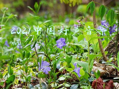 2021中国好声音导师