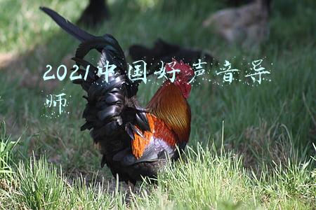 2021中国好声音导师那英为什么退出(2021中国好声音，那英的退出)