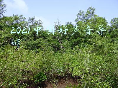 2021中国好声音导师最新消息(《2021中国好声音》盲选收官，亮相不到3分钟的新晋导师廖昌永成了新焦点)