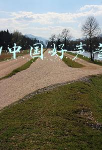 2021中国好声音导师阵容(好声音2021海选现场曝光！导师阵容4大+4小，疑似王靖雯惊现舞台)