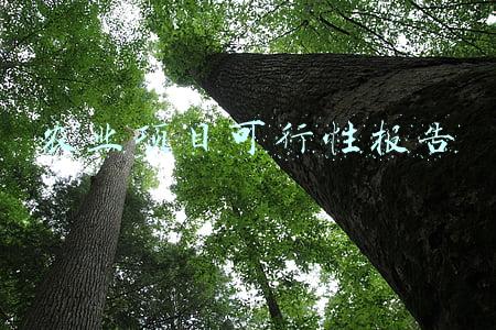 农业项目可行性报告怎样写(2021年观光农业园行业投资可行性分析报告 项目赋能是重点)