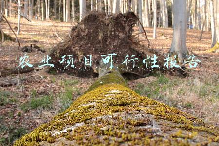 农业项目可行性报告封面(300亩现代农业综合体基地规划与设计可行性报告)