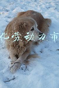 奉化劳动力市场最新招聘信息(宁波市奉化区尚田城镇建设投资有限公司公开招聘1名工作人员公告)