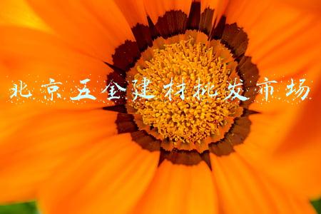 北京鑫方盛五金建材(全国五金界同仁莅临鑫方盛考察交流)