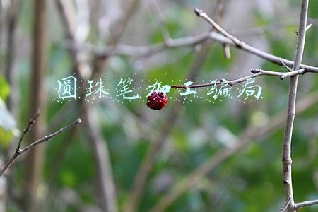 在家来料加工圆珠笔(你常用的圆珠笔其实并不简单！)