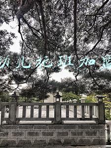 幼儿托班加盟2万元(申晨间｜花2万块钱送宝宝进知名连锁早教上托班，可爱小脸竟肿成大气球)