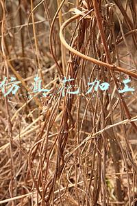 仿真花加工