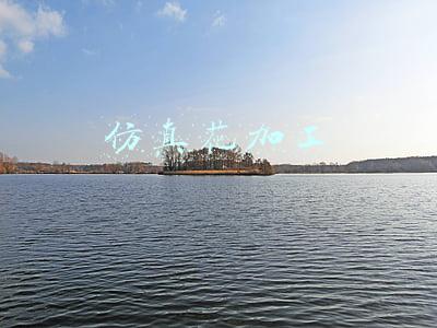 仿真花加工