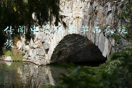 传闻中的陈芊芊西瓜视频免费播放(《传闻中的陈芊芊》：一匹能力不足的黑马)