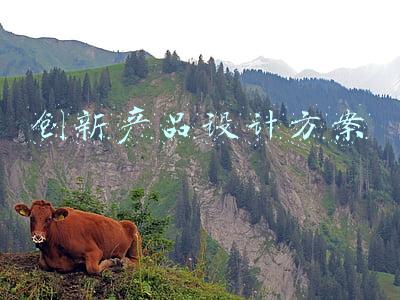 创新产品设计方案ppt(时尚酷炫创新科技峰会策划方案PPT模板)