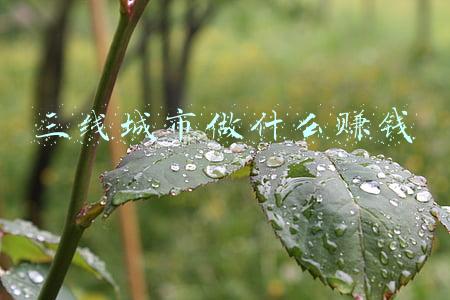 三线城市做什么赚钱