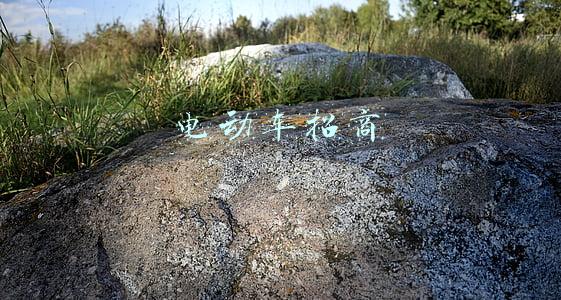 电动车招商