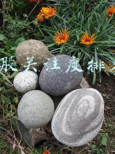 股票关注度排名(31股获机构买入型评级，卫宁健康关注度最高)