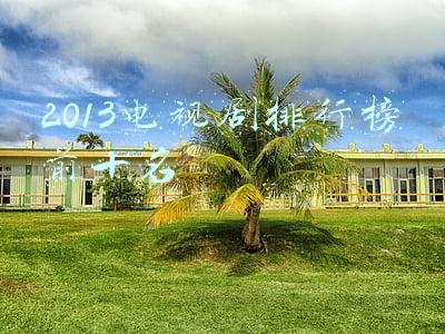 2013年电视剧排行榜前十名(湖南卫视最火的10部连续剧，《妻子的谎言》第7，《伪装者》仅第4)
