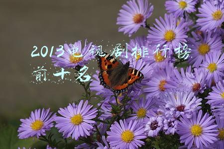 2013电视剧排行榜前十名
